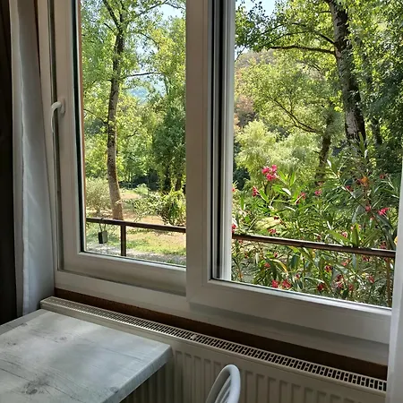 Apartment Au Bord De La Riviere Florentin-la-Capelle