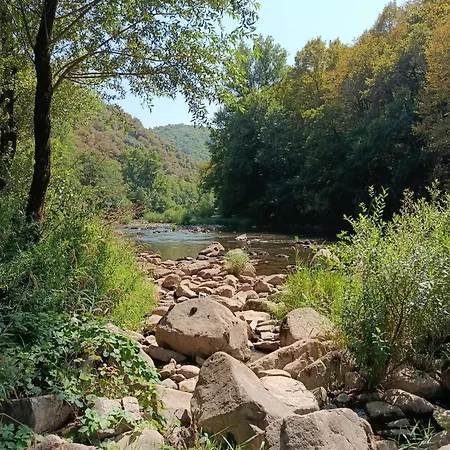 Au Bord De La Riviere *